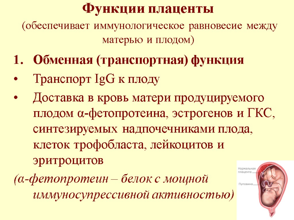 Функции плаценты (обеспечивает иммунологическое равновесие между матерью и плодом) Обменная (транспортная) функция Транспорт IgG